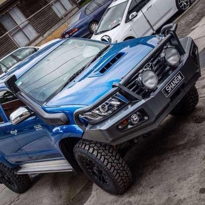 As barras feito-à-medida de aço de 4X4 Bull para Toyota Hilux pegaram Revo